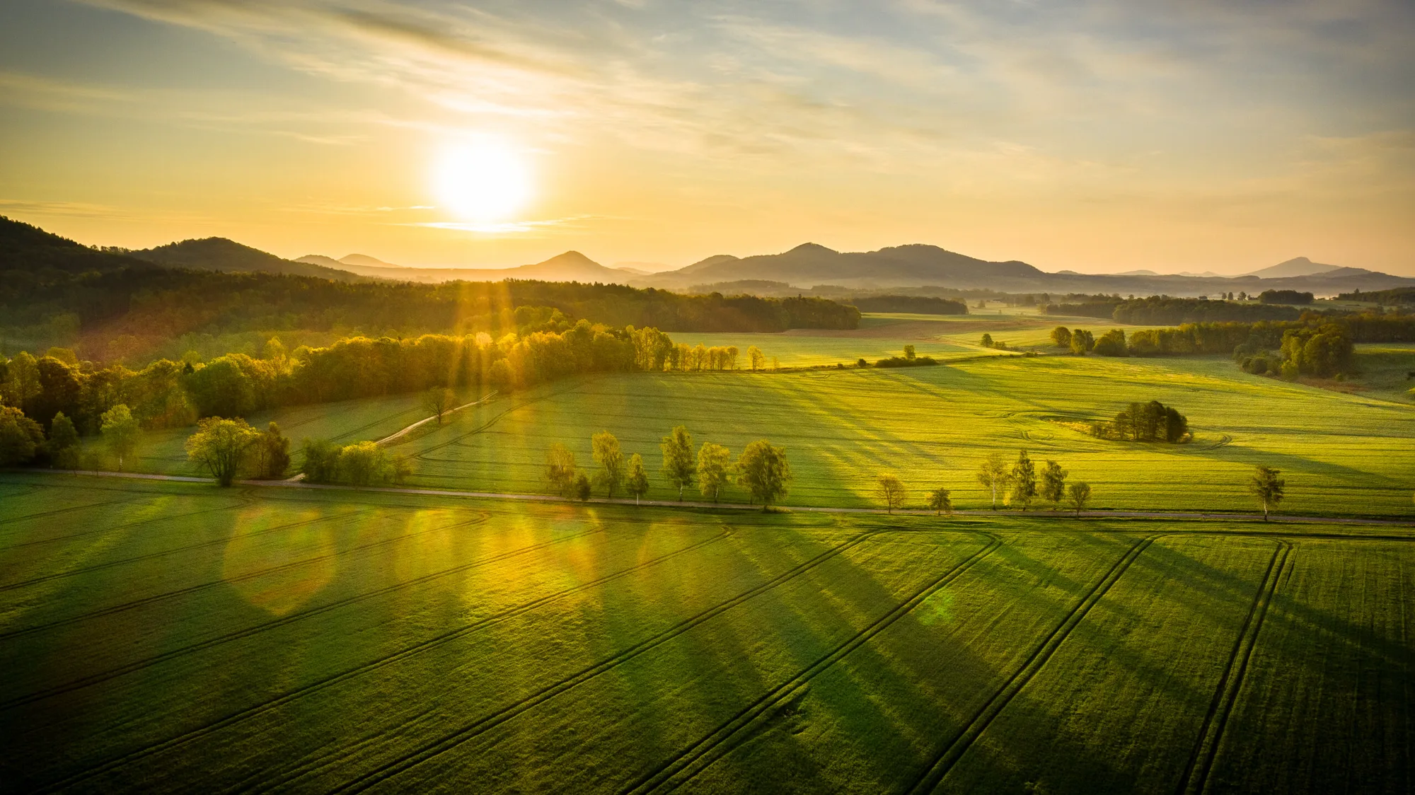 Zelená pole v protisvětle zapadajícího slunce (foto z dronu)